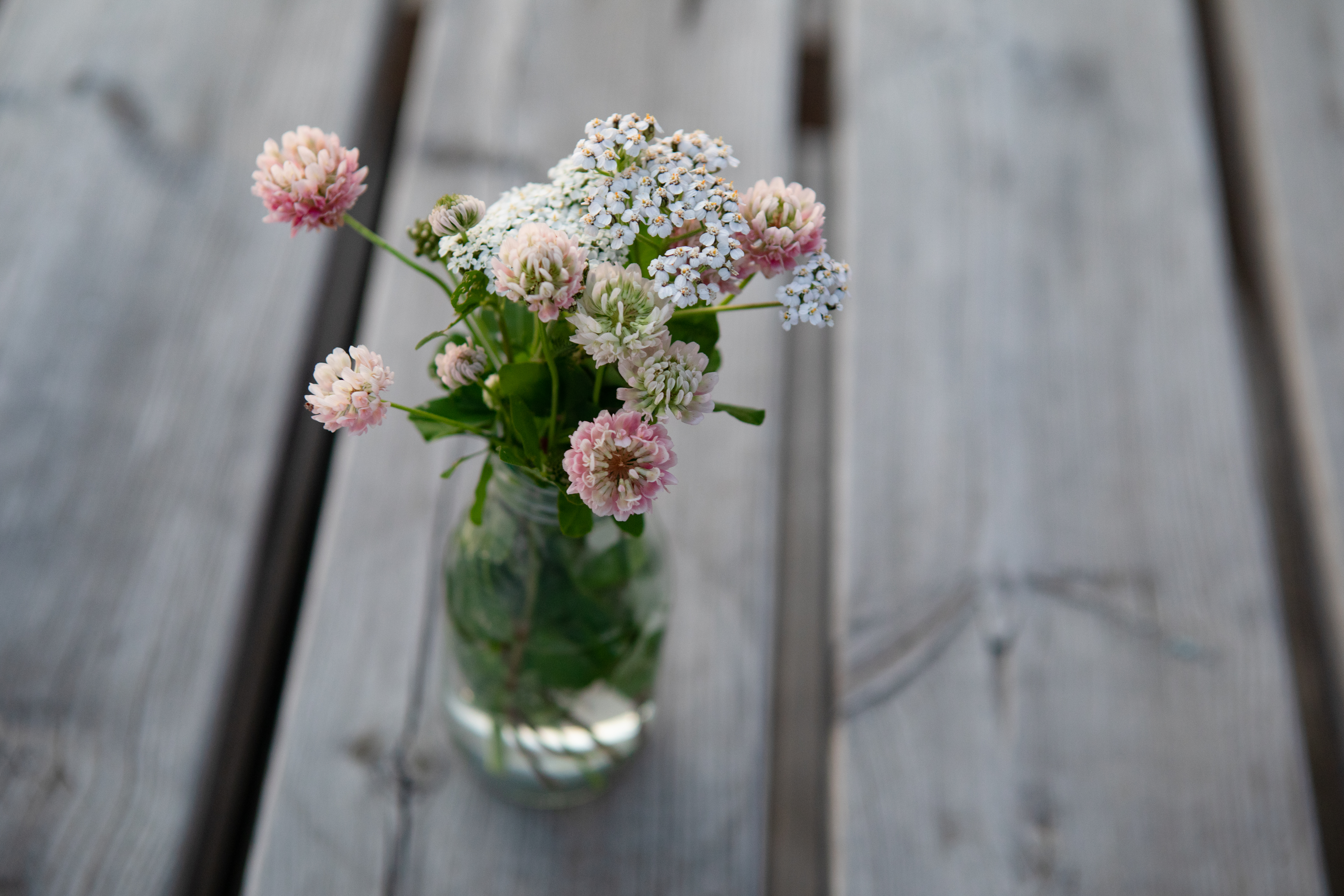 Små sommarblommor i vas på bryggan